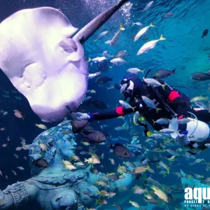 จองตั๋วอควาเรียมภูเก็ต ตั๋วเข้าชมพิพิธภัณฑ์สัตว์น้ำอควาเรีย ภูเก็ต (Aquaria Phuket)