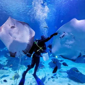 จองตั๋วอควาเรียมภูเก็ต ตั๋วเข้าชมพิพิธภัณฑ์สัตว์น้ำอควาเรีย ภูเก็ต (Aquaria Phuket)