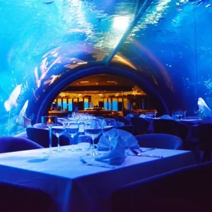 จองตั๋วอควาเรียมภูเก็ต ตั๋วเข้าชมพิพิธภัณฑ์สัตว์น้ำอควาเรีย ภูเก็ต (Aquaria Phuket)